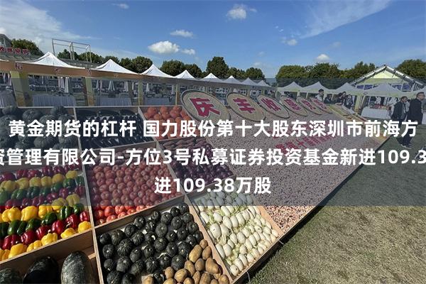 黄金期货的杠杆 国力股份第十大股东深圳市前海方位投资管理有限公司-方位3号私募证券投资基金新进109.38万股