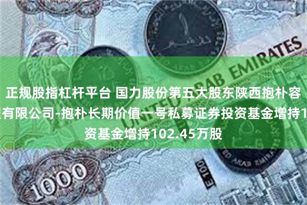 正规股指杠杆平台 国力股份第五大股东陕西抱朴容易资产管理有限公司-抱朴长期价值一号私募证券投资基金增持102.45万股