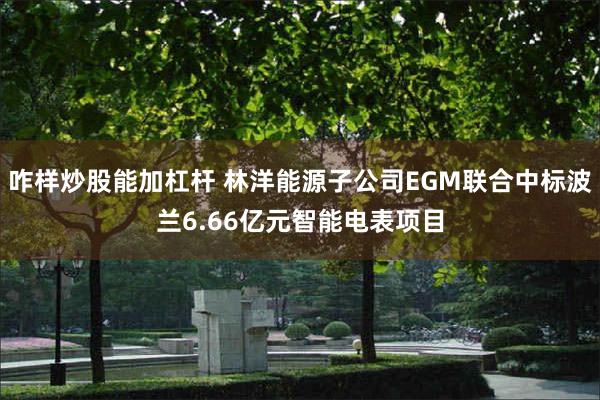 咋样炒股能加杠杆 林洋能源子公司EGM联合中标波兰6.66亿元智能电表项目