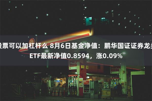 股票可以加杠杆么 8月6日基金净值：鹏华国证证券龙头ETF最新净值0.8594，涨0.09%