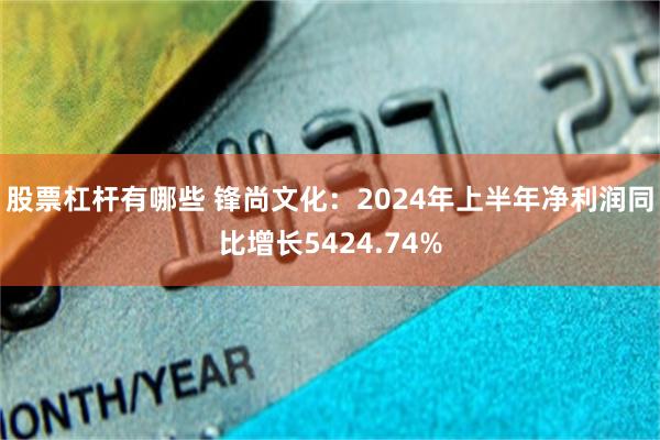 股票杠杆有哪些 锋尚文化：2024年上半年净利润同比增长5424.74%