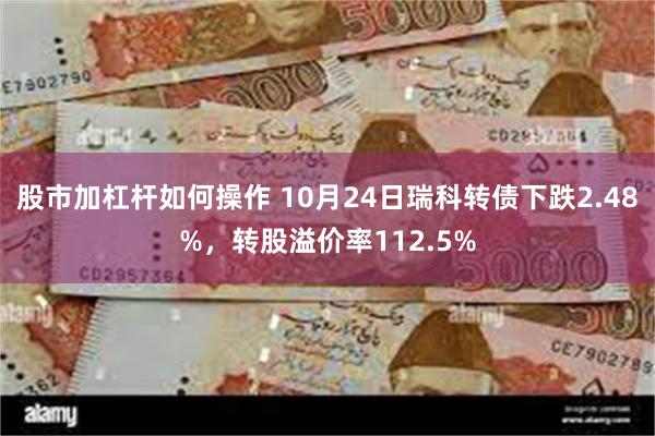 股市加杠杆如何操作 10月24日瑞科转债下跌2.48%，转股溢价率112.5%