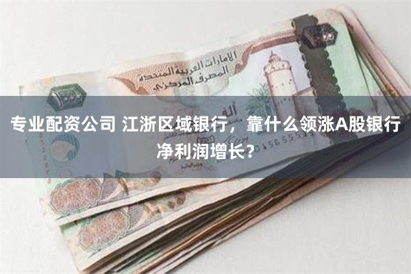 专业配资公司 江浙区域银行，靠什么领涨A股银行净利润增长？