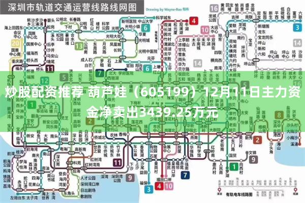 炒股配资推荐 葫芦娃（605199）12月11日主力资金净卖出3439.25万元