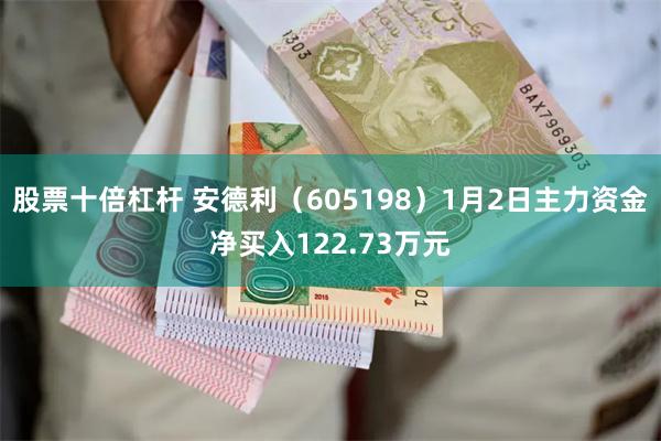 股票十倍杠杆 安德利（605198）1月2日主力资金净买入122.73万元