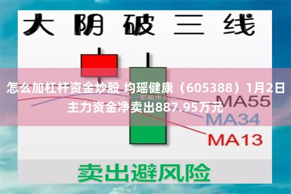 怎么加杠杆资金炒股 均瑶健康（605388）1月2日主力资金净卖出887.95万元