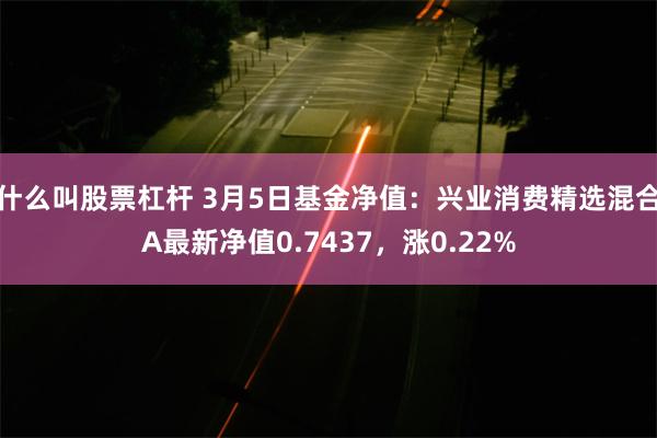 什么叫股票杠杆 3月5日基金净值：兴业消费精选混合A最新净值0.7437，涨0.22%