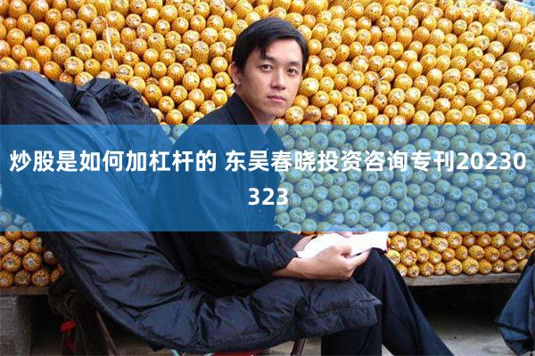 炒股是如何加杠杆的 东吴春晓投资咨询专刊20230323